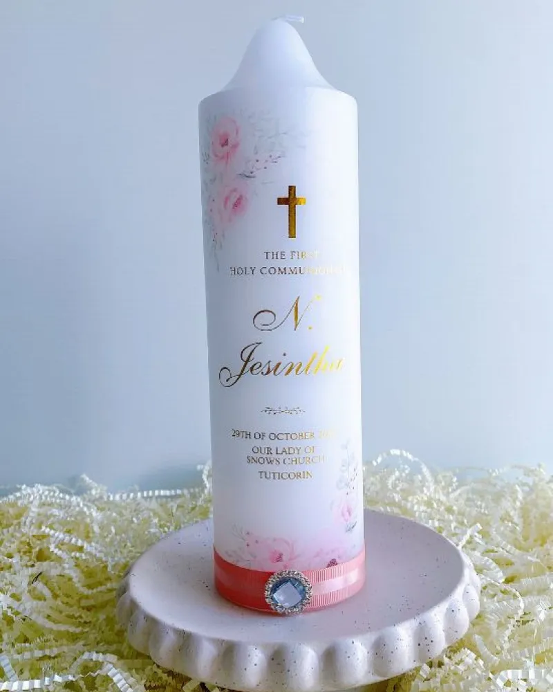 Pink Blossom | Jesintha